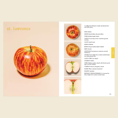 Practical Pomology: A Field Guide
