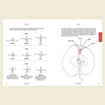 Practical Pomology: A Field Guide
