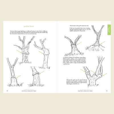 Practical Pomology: A Field Guide