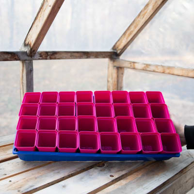 Magenta 2½" Heavy-Duty Square Pots