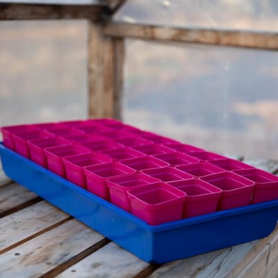 Magenta 2½" Heavy-Duty Square Pots