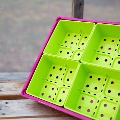 Lime 5" Heavy-Duty Microgreen Trays
