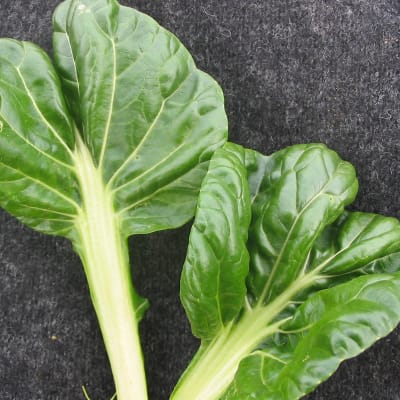 Tatsoi