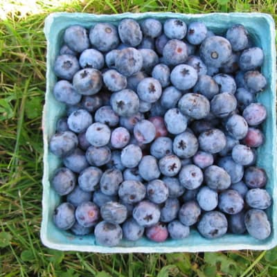 Blueray