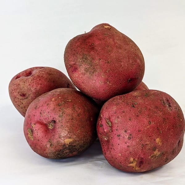 Red Potatoes