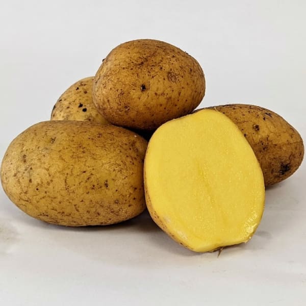 Yellow Potatoes