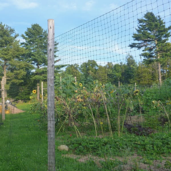 Deer Netting