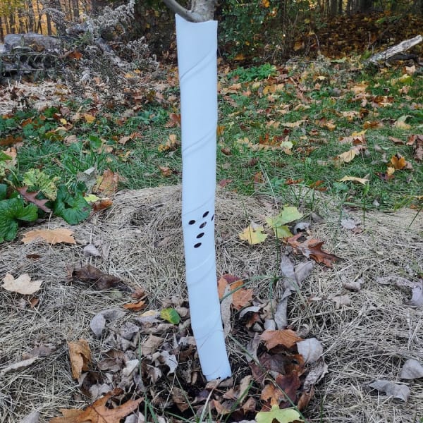 Tree Guards