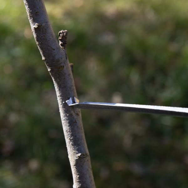Limb Spreaders