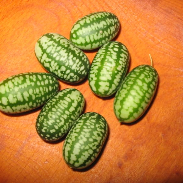Specialty Cucumbers