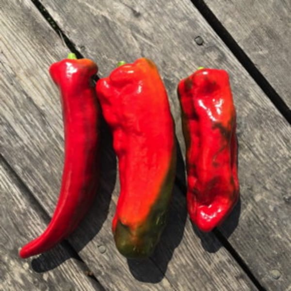 Elongated Sweet Peppers
