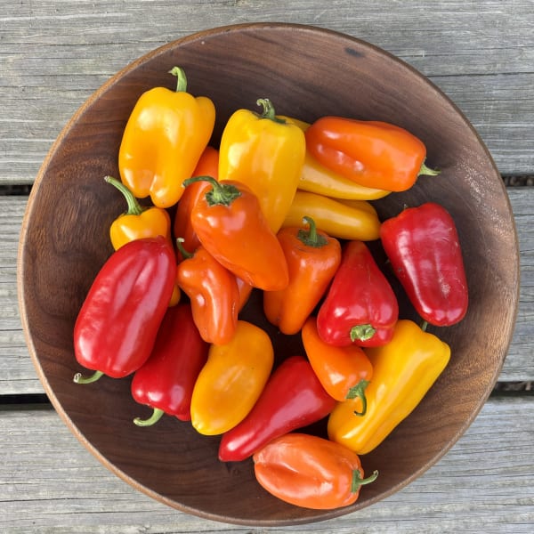 Snacking Peppers