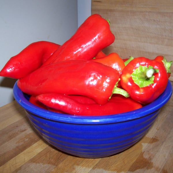 Paprika Peppers