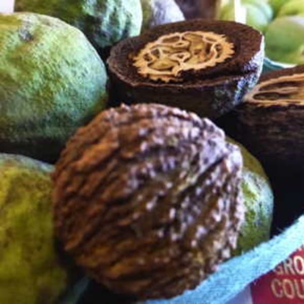 Walnut