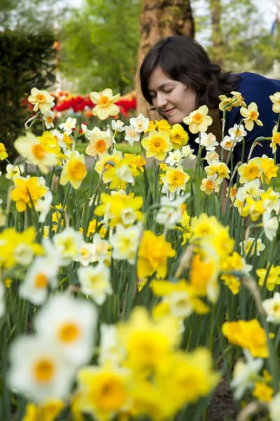 Fragrant Meadow Mix main item image