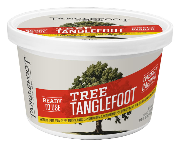 Tanglefoot for Crawling Pests