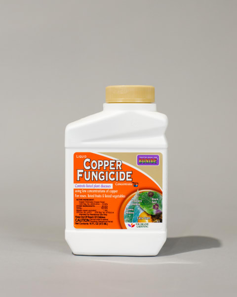 Bonide® Liquid Copper Concentrate