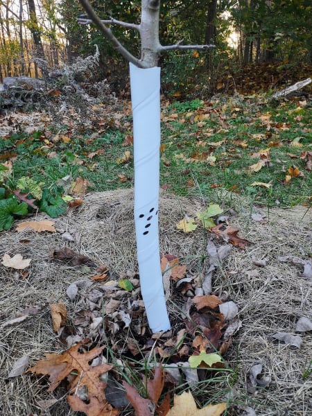 Vinyl Tree Guards