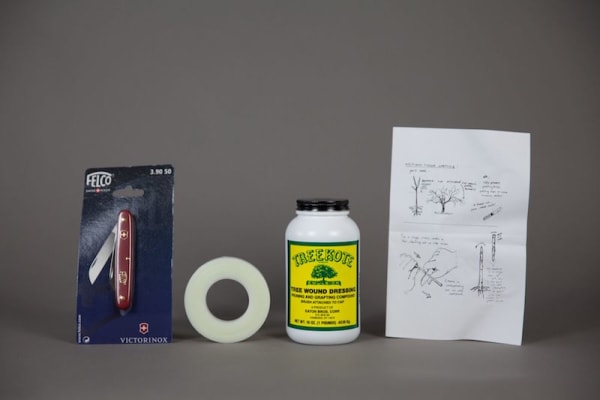 Bench Grafting Kit