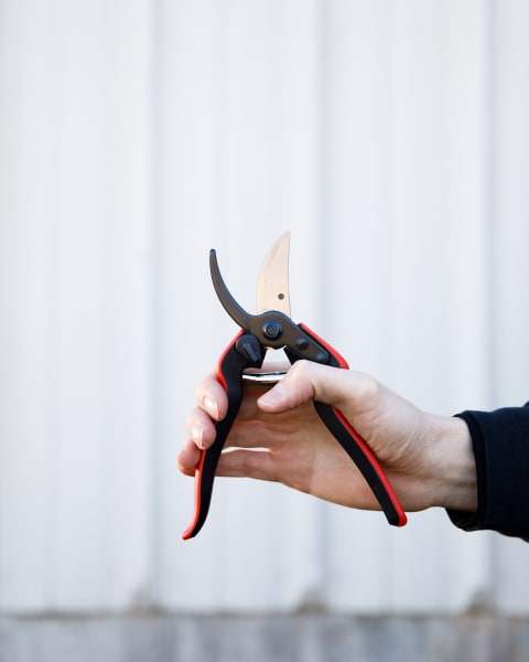 Felco® F160L Large Pruners