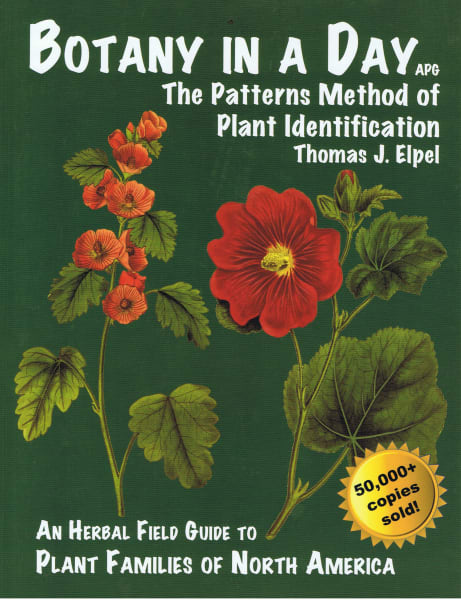 Botany in a Day: The Patterns Method of Plant Identification