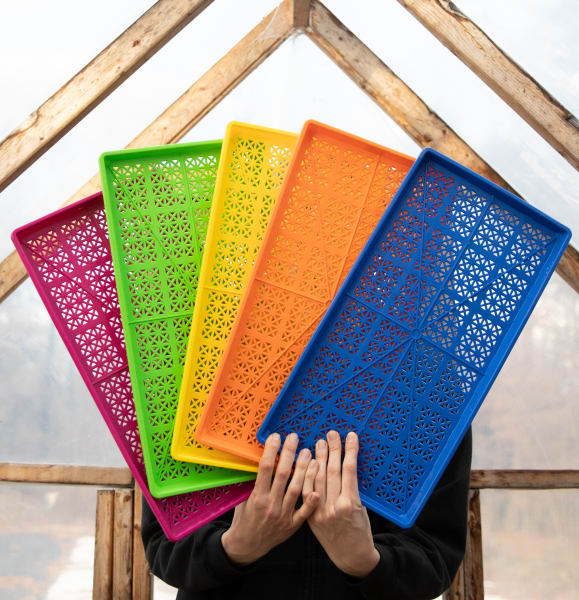 Multicolor Bundle of Shallow Heavy-Duty Mesh Trays