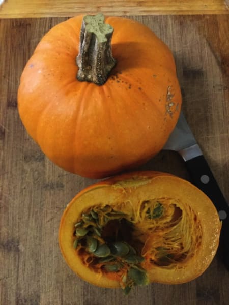 Naked Bear, naked seeded