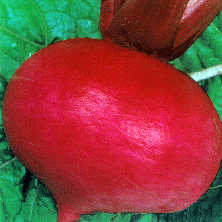 Red Round