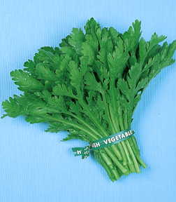 Garland Serrated Chrysanthemum