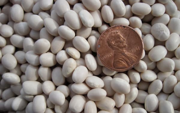 Saturday Nite Special