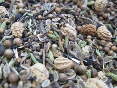 Beneficials Mix