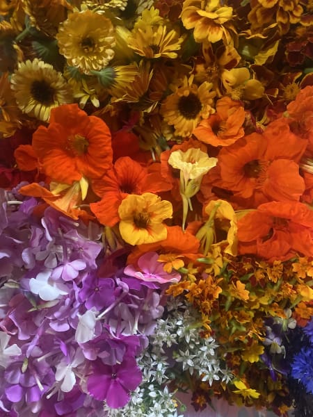 Edible Flower Collection
