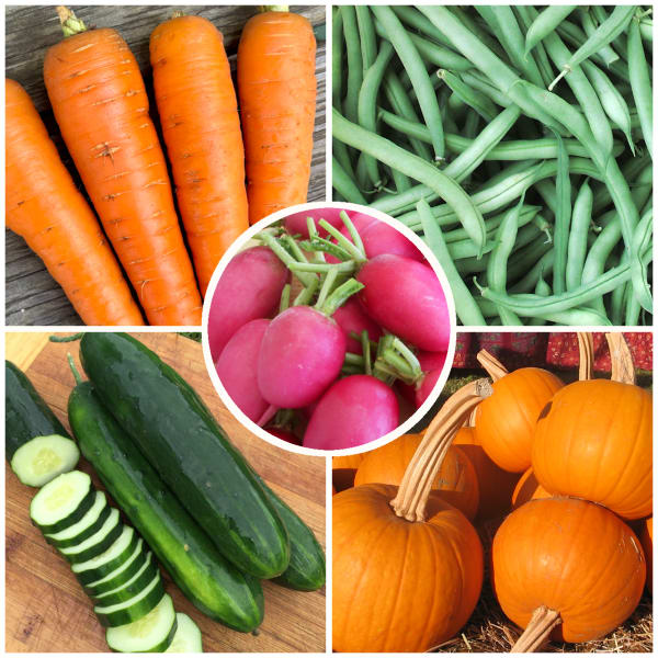 Children’s Garden Collection