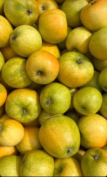 Ananas Reinette