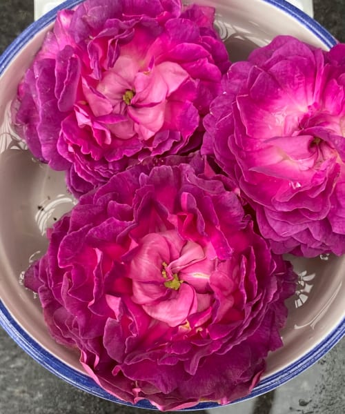 ‘Belle de Crecy’