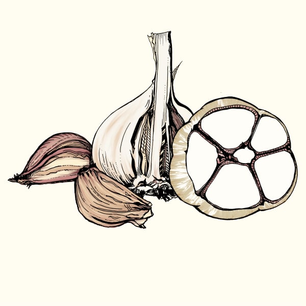 Czech Broadleaf ECO  main item image 