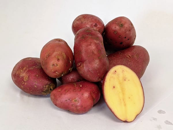 French Fingerling OG 2 lbs