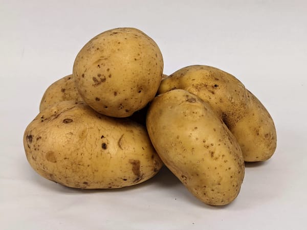 Carola OG 2 lbs
