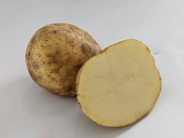 Kennebec OG 2 lbs