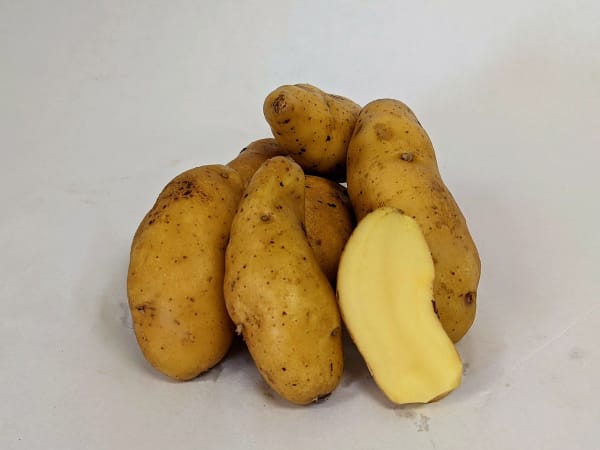 Austrian Crescent 2 lbs