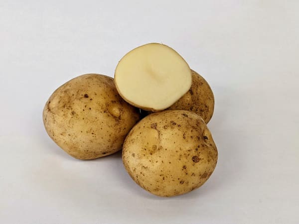 Upstate Abundance PVP 2 lbs