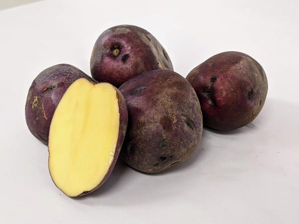 Blue Gold 2 lbs
