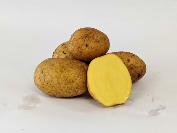 German Butterball 2 lbs