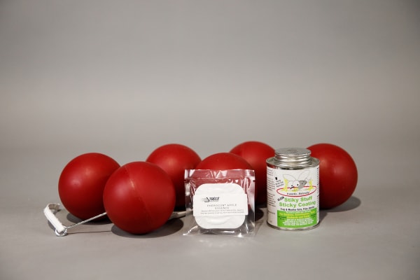 Apple Maggot Fly Pest Kit