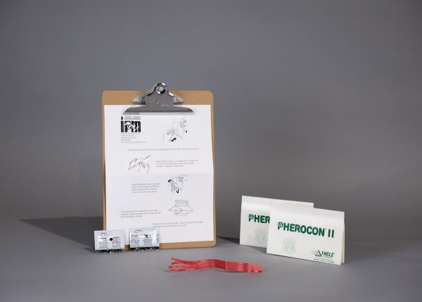 Codling Moth Traps & Lures
