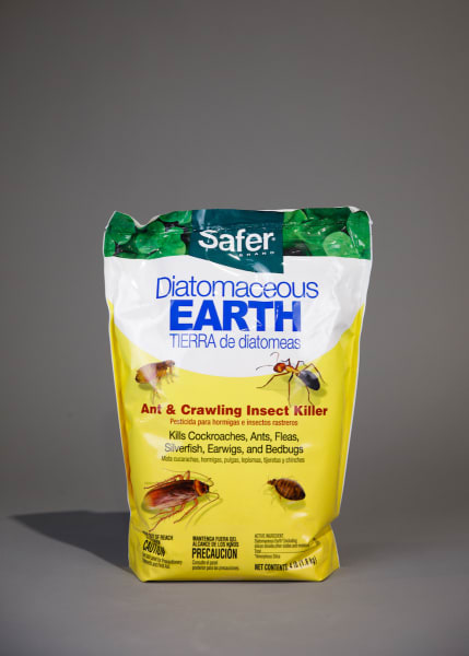 Safer® Brand Diatomaceous Earth Ant & Crawling Insect Killer