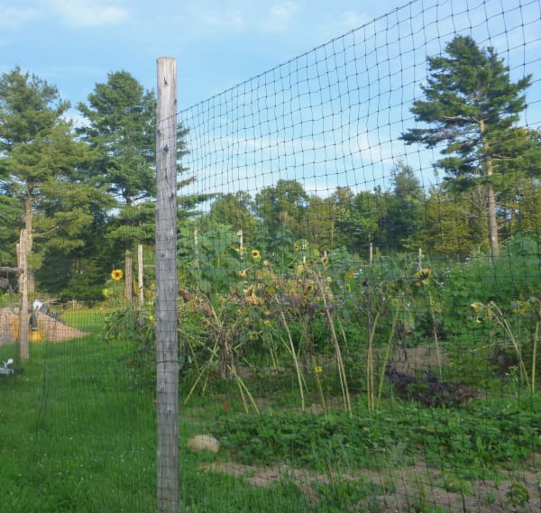 15-Year Deer Fence