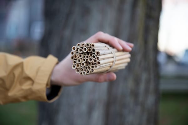 Leafcutter Bee Reeds