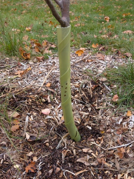 Biodegradable Tree Guards