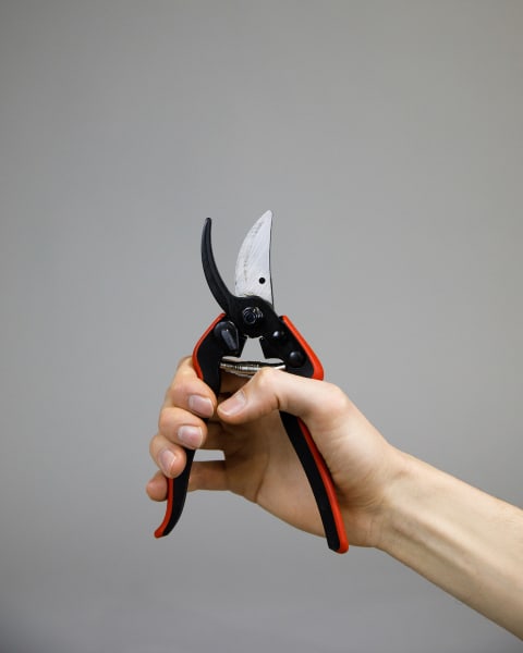Felco® F160S Small Pruners
